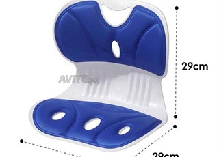 Coussin ergonomique Soulage le dos