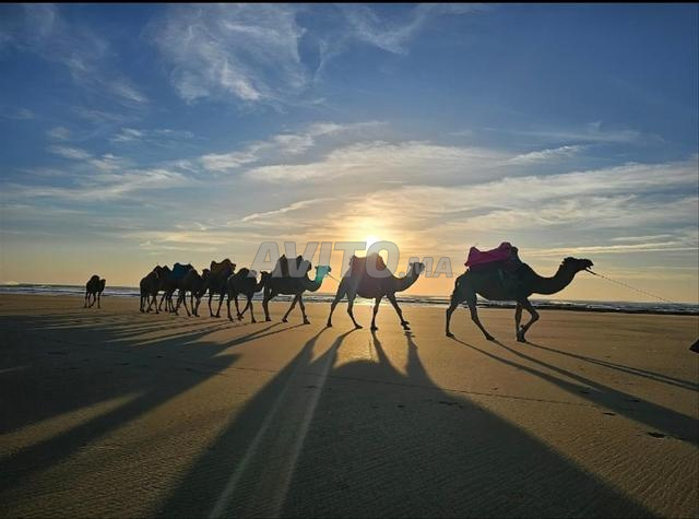 Appartement en plein centre-ville près de la mer