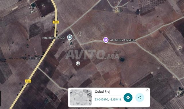 Terrain agricole à vendre Ouled Frej EL Jadida