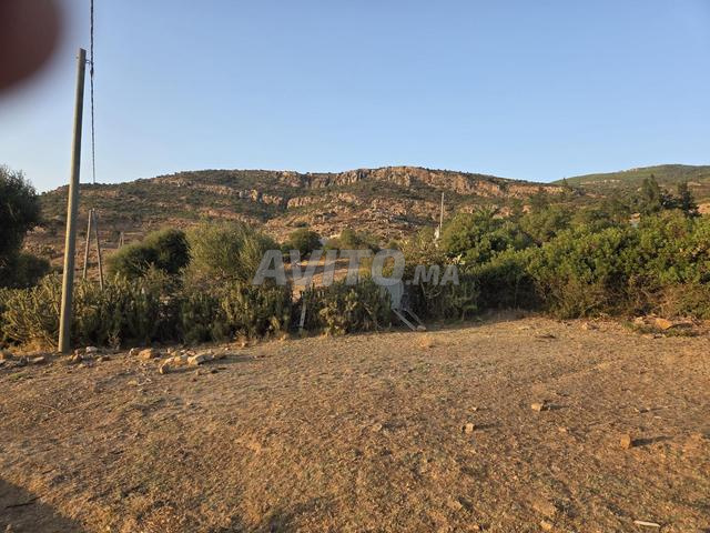 Terrain à vendre à Béni Hkim-Dar chaoui- Tanger - 2