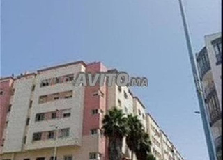 استوديو مفروش وشقق مفروشة للعزاب