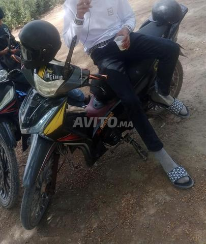 Swing sh modil2021 - 2