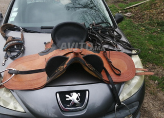selle cheval 