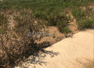 ارض محفظة للبيع 