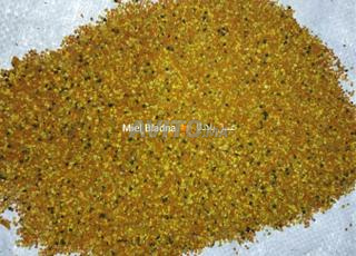 حبوب اللقاح 