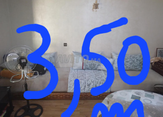 طلامط بالمخاد وز ربية 