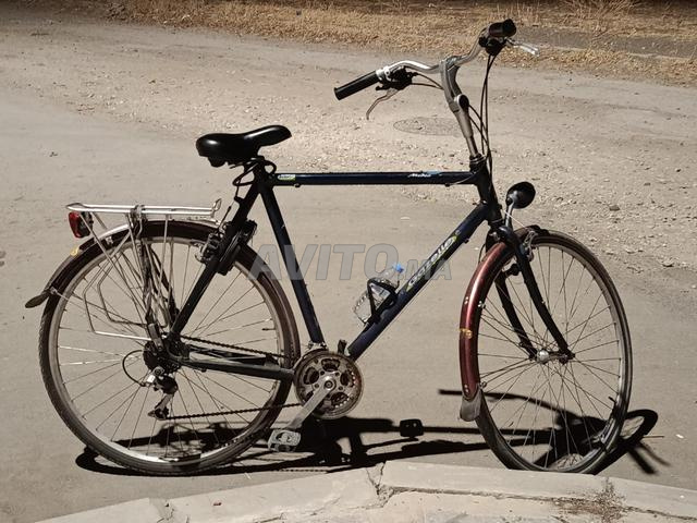 la gazelle bon etat ba9a jdida - 2