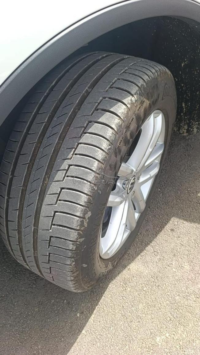touareg 