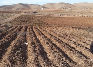 Fermes en vente à Laanocer (لعنوصر)