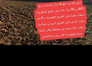 أرض فلاحية البيع تيفلت 