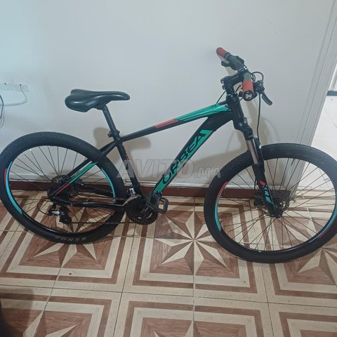 Vtt sport Orbea mx 29 50
