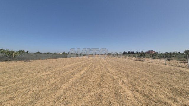 Terrain de 1,7 hectares à vendre à Kenitra