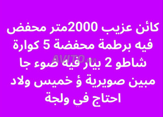 Ferme titrée entre Essaouira et Khemis Oulad Haja