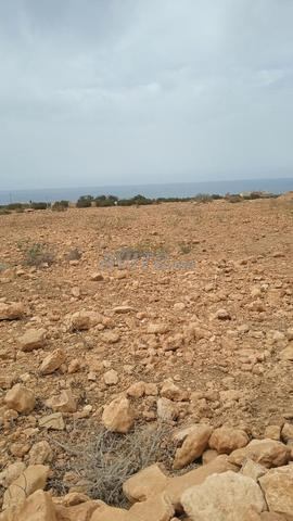 جماعة البركانين، الناظور - 2