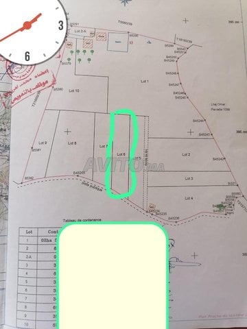 ارض فلاحية هوارة اولاد سكير فوق الساقية