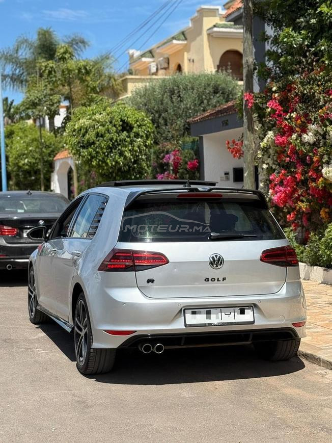 golf 7 pack rline 