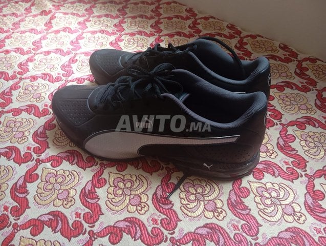 puma original 