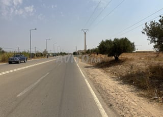 2 hectares titrée route principal triq houdoud 