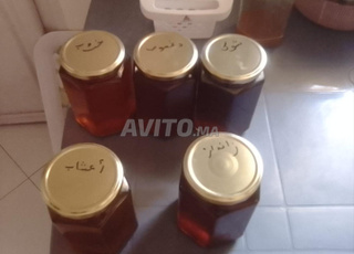 Miel pur de terroir à vendre (Meknès et environ)