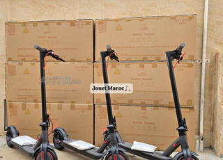 TROTTINETTE ÉLECTRIQUE SCOOTER AOVO PRO ES80