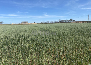 أرض للبيع محفظة اومسجلة