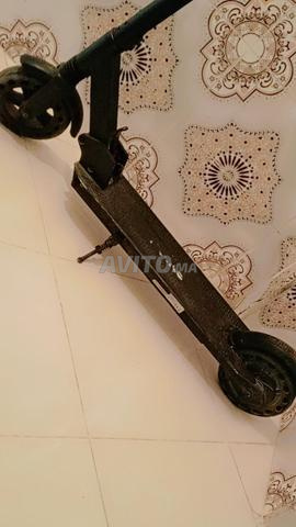 تراتينات للبيع - 2