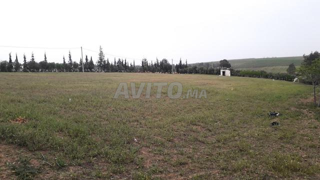 أرض فلاحية مجهزة ملكية مساحتها 7000 متر مربع - 2