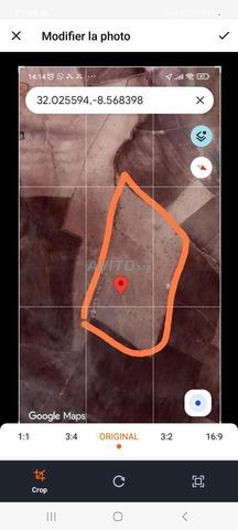 TERRAIN AGRICOL DE 20 HECTARES EN VENTE A ASFI