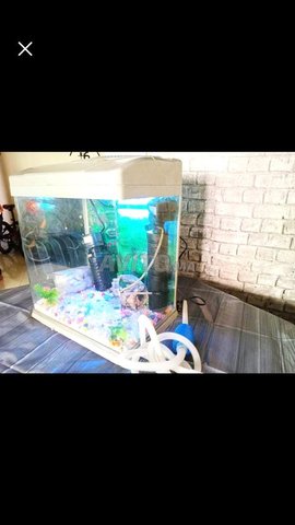 Aquarium original avec tous ses accesoirs complet
