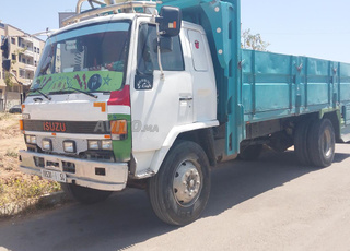 camion Isuzu 15