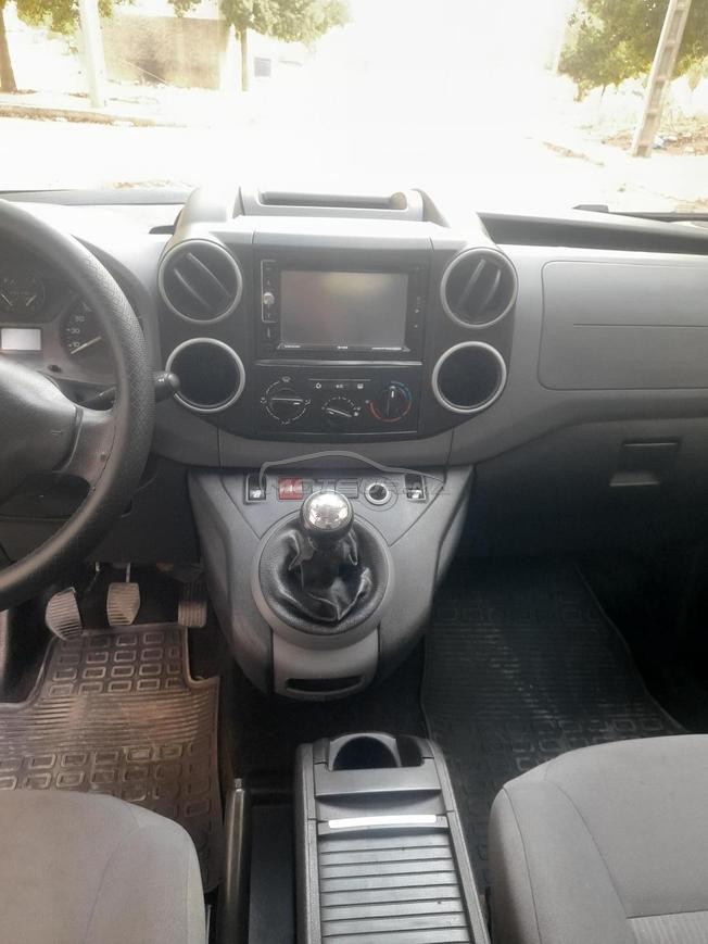 berlingo