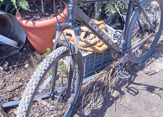 Vélo anglais tout terrain