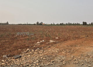 terrein Agricole a vendre