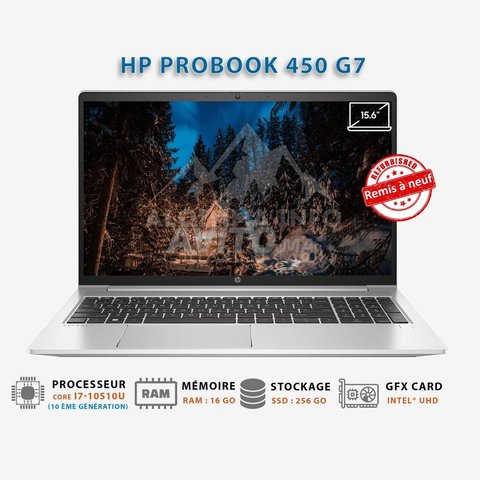 HP ProBook 450 G7 i7-10510U 16Go 256Go SSD 