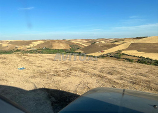 Ter titre 33000m2 Ain johra Tiflet