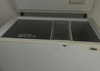 كونجيلاتور كبيرة 