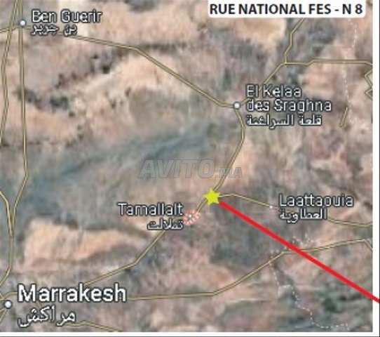 أرض مسجلة 5 هكتار  مع وحدة زيتون ومنزل وإسطبل