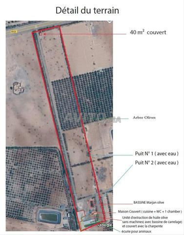  خمس هكتار مع وحدة  زيت زيتون ومنزل وإسطبل  