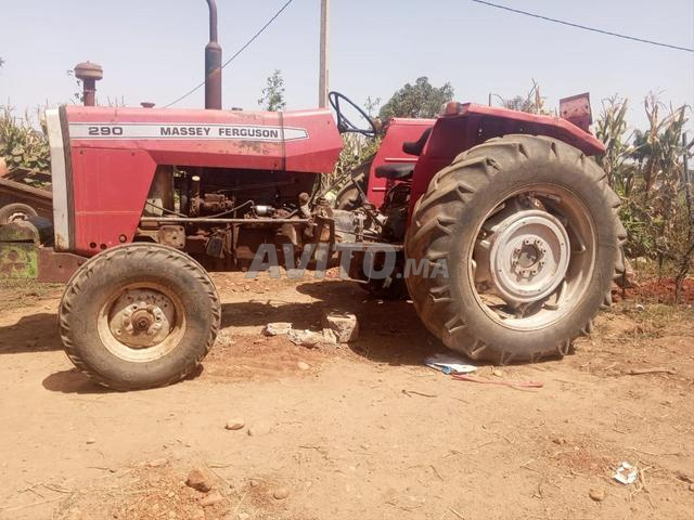 Massey Ferguson 290