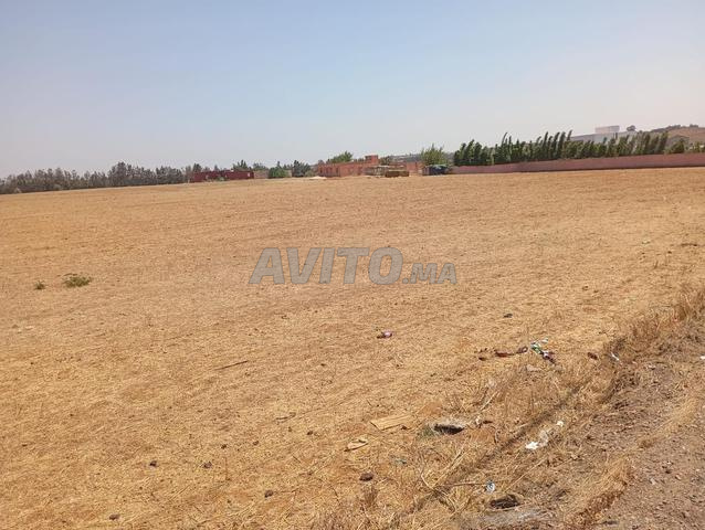 Terrain Autorisé Station-Service à Ain Atig