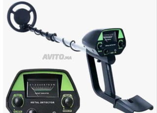 Détecteur métaux 