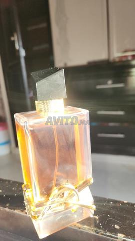 Parfums ysl libre edp intense