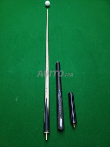 canne blp (ex) 9.5 avec valise 3/4 