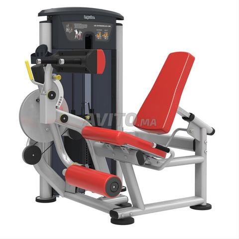 Extension de jambe / Flexion de jambe