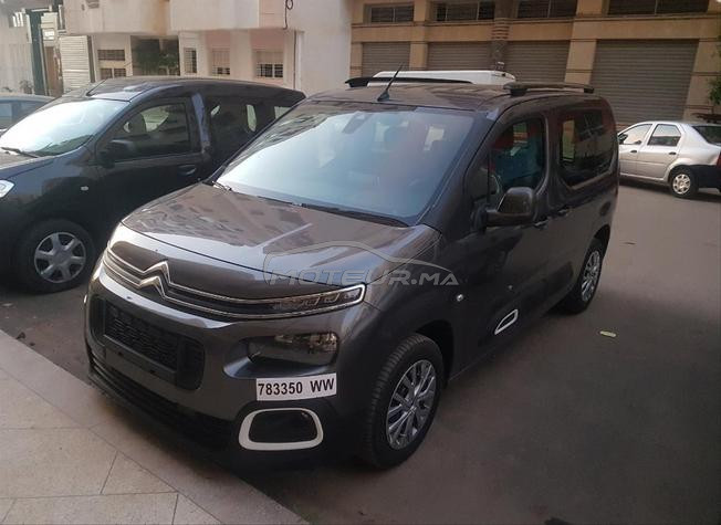 berlingo