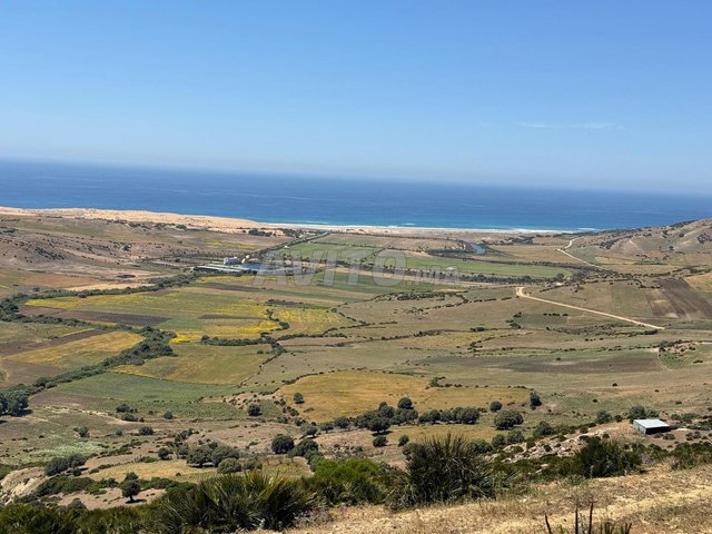 Terrain exceptionnel avec vue sur mer