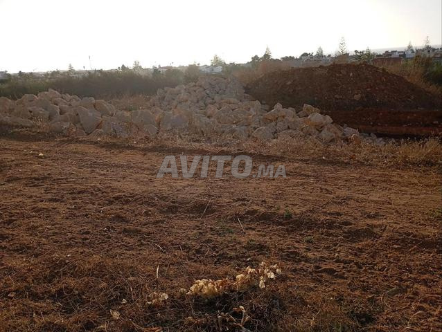 Terrain pour Villa à Témara (Harhoura) - 2
