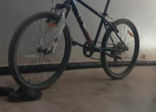 بكالة باقي ناقية وتمن مناسب او قابل موافظ