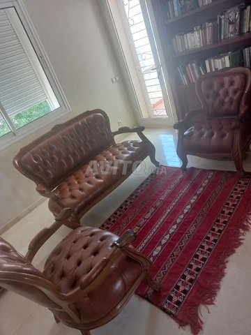 Salon style cuir