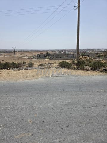 terrain à vendre takabroute safi 